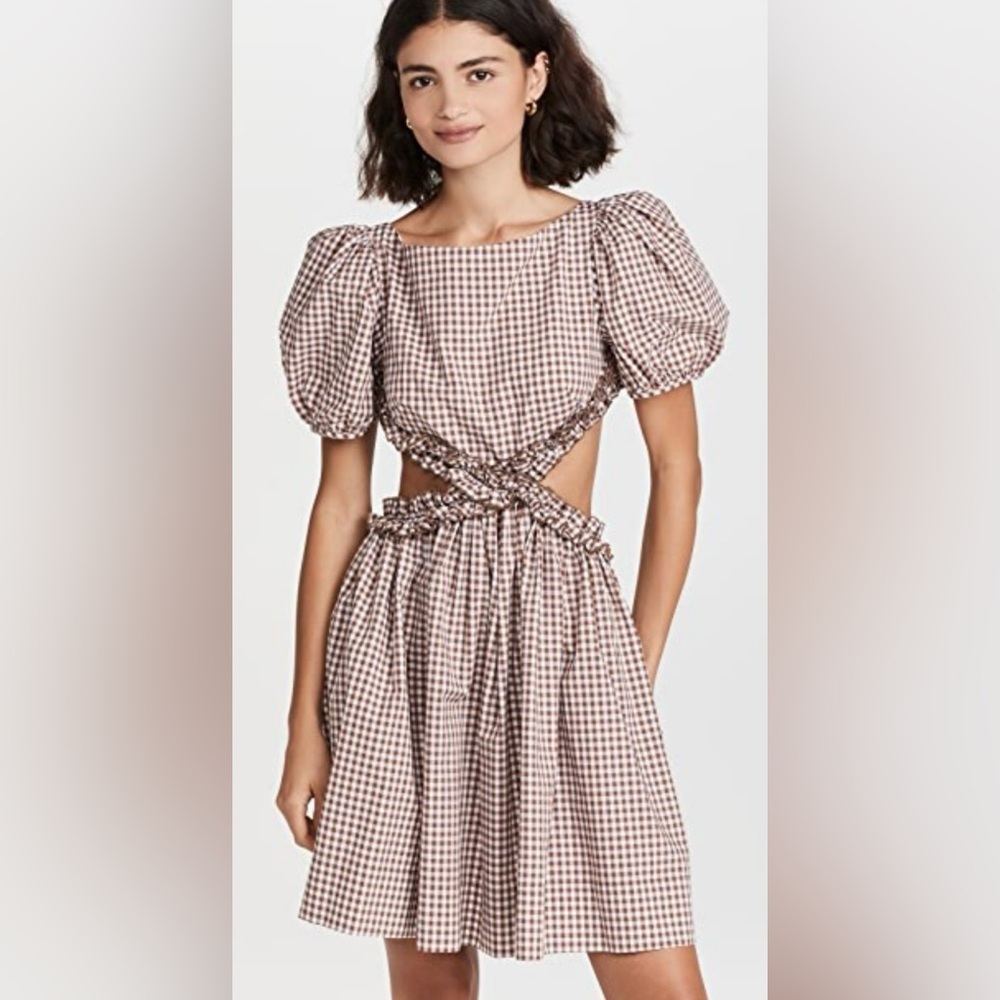 Sandy Liang Gingham Cutout Wolff Dress 2